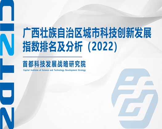 大鸡巴视频无码【成果发布】广西壮族自治区城市科技创新发展指数排名及分析（2022）